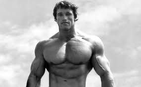 64 Arnold Schwarzenegger Quotes On Bodybuilding Motivation