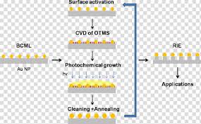 Gold Number Reactiveion Etching Nanoparticle Colloidal