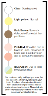 decoding the color of our urine