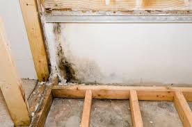 how to remove mold from inside walls