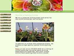 oncidium vendors orchidwire listings
