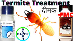 odorless termite control treatment