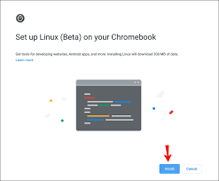 To change this setting, you can open the permissions page of an app, then turn off storage.; How To Install Steam On A Chromebook
