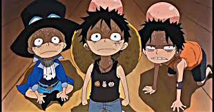 who is monkey d luffy s brother