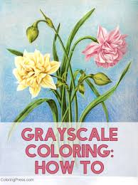 grayscale coloring tutorial basic how