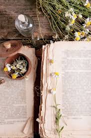 Squish them down and if using a book, place some extra books on top as weight. Old Book With Dry Flowers In Mortar On Table Close Up 78081588 Larastock