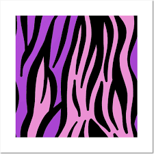 Purple And Pink Zebra Zebra Print