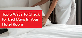 For Bed Bugs In A Hotel Room