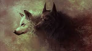 wolf hd wallpapers free