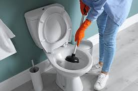 6 best home remes to unclog a toilet