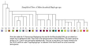 77 Conclusive Hs Miller Ethnology Chart