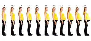 Pregnancy Body Changes Week 1 To Week 42