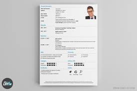 Modern Resume Cv Curriculum Vitae Template With Bubble Graphic    