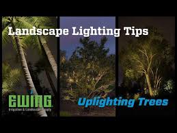 Landscape Lighting Tips Uplighting
