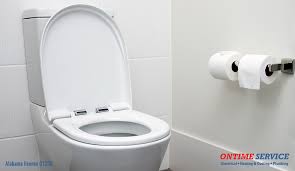 5 Ways To Unclog Your Toilet Ontime59