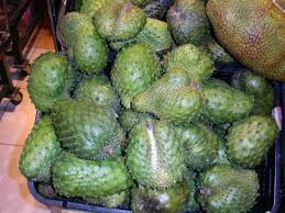 My fruits models my fruits preetens forum index my fruits trixie my is free wallpaper that you can download for free in the best home decor. Forum Graviola Tree Or Soursop