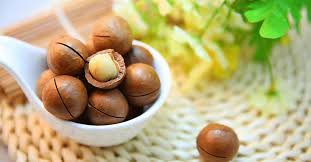 a brief history of macadamia nuts