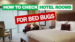 Finding bed bugs in your hotel room can make you feel as if your vacation has ended before it started. How To Check Hotel Rooms For Bed Bugs