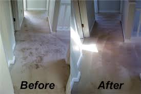 carpet cleaning services in oakville