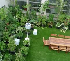 Organic Terrace Garden Service