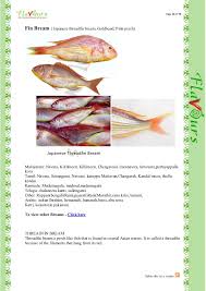 Pigmentation of japanese sea bream, pagrus major, with naturose yields excellent results. Confused Over Fish Names