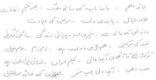 Important Essays for Class IX X   Literacy   Muhammad Ali Jinnah AIOUpk Com