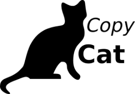 Image result for picture of a copycat