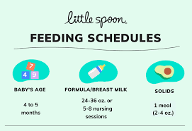 sample baby feeding schedule by age