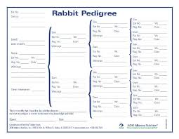 Rabbit Pedigree Blank Chart Pedigree Chart Rabbit Farm