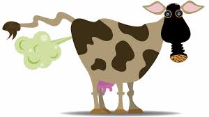 Image result for new green deal farting cows