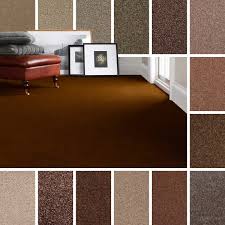 From shag carpet to traditional styles, lowe's has everything you need, including carpet runners. Brown Carpet Cheap Brown Carpets Twist Saxony Pile Brown Carpets Action Back Ebay