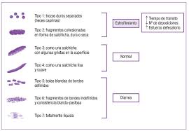 La escala de heces de bristol o gráfico de heces de bristol es una tabla visual de uso en medicina, destinada a clasificar la forma de las heces humanas en siete grupos. Centro De Sanacion La Flor De La Vida Escala De Heces De Bristol