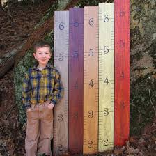Giant Ruler Growth Chart Shut Up And Take My Money
