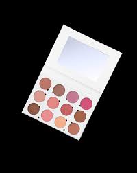 professional makeup palette blush