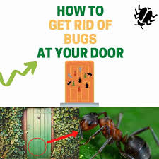 How To Keep Bugs Away From The Door At