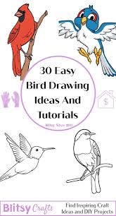 30 easy bird drawing ideas how to