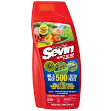 sevin concentrate bug