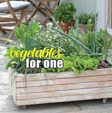 Vegetable Growing For One Or Small
