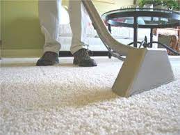 carpet cleaner rochester ny carpet