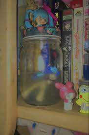 Anime figures in jars meaning. Anime Figures In Jars Instaimage