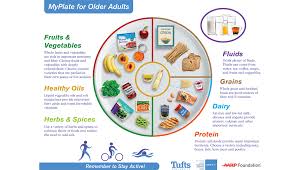 Myplate Is The New Food Pyramid For Older Adults