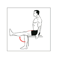 seated leg extension by patricie k
