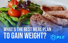 what s the best meal plan to gain