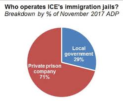 Ice Released Its Most Comprehensive Immigration Detention