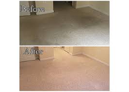 3 best carpet cleaners in baltimore md