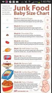 Junk Food Baby Size Chart Babycenter