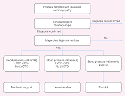 Proposal Of Flow Chart For The Acute Treatment Of High Risk
