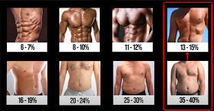 how to go from 35 to 15 body fat in 5