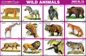 35 Veritable Wild Animals Pictures Chart