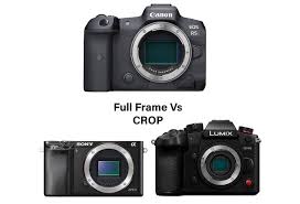full frame vs crop sensors which is